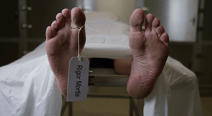 how rigor mortis works,rigor mortis facts,process of rigor mortis,death,reference,information,guide