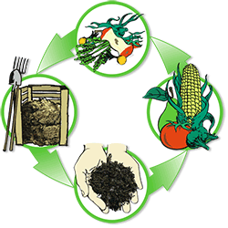 better-best-composting-compost-methods-tips-tricks-guide-help-advice-information-reference-earth-environment