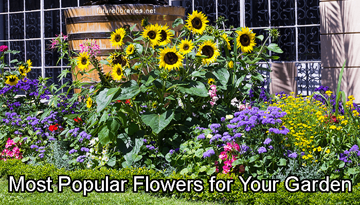 Most Popular Flowers, Flower Gardens, Popular Flowers